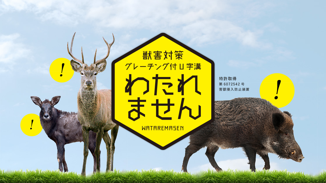わたれません